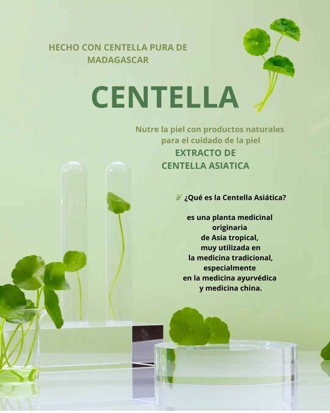 Light Gray Kit Facial con Centella Asiática – Repara y calma tu piel naturalmente